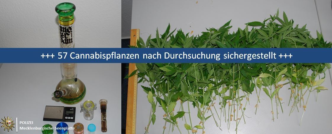 POL-NB: 57 Cannabispflanzen bei Durchsuchung aufgefunden und sichergestellt