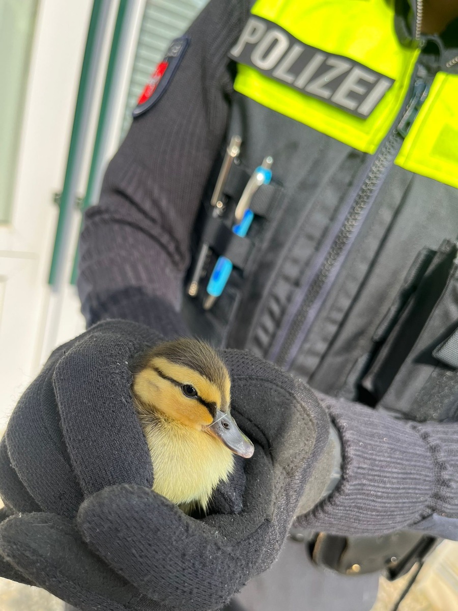 POL-NOM: Tierischer Einsatz