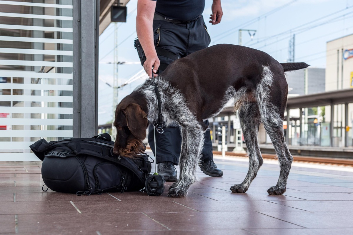 BPOL-BXB: Verdächtiges Gepäckstück im Bahnhof St. Ingerbt stellt sich als harmlos heraus