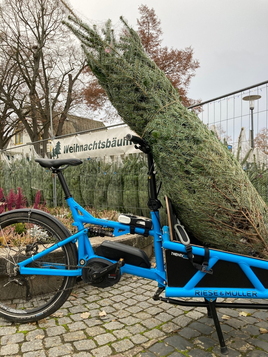 Oh Tannenbaum! ADAC-Tipps zum sicheren Weihnachtsbaumtransport