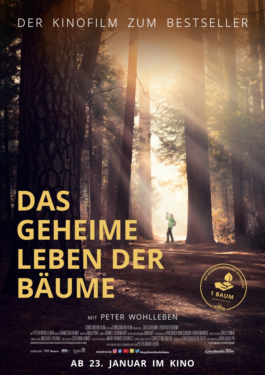 DAS GEHEIME LEBEN DER BÄUME ab 23. Januar 2020 im Kino