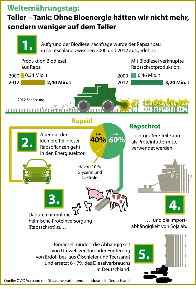 Welternährungstag: Teller - Tank: Ohne Bioenergie hätten wir nicht mehr, sondern weniger auf dem Teller (BILD)