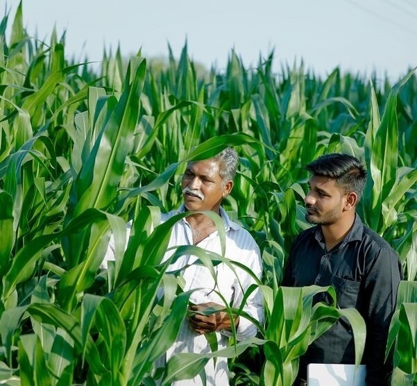 Die Welt ernähren mit Innovation und Verantwortung - Syngenta begrüsst Dialog statt Konfrontation