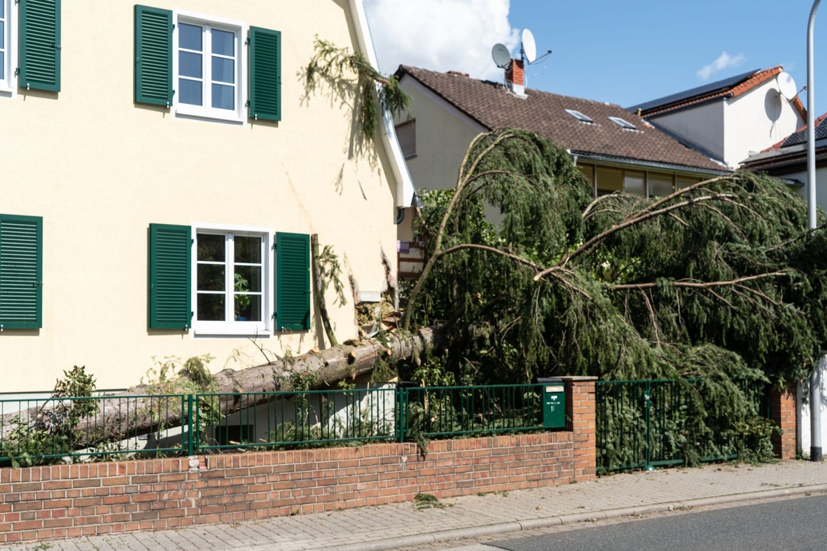 Zahl der Woche: 63,3 | Schäden an Hab und Gut: Sturm bereitet größte Sorge