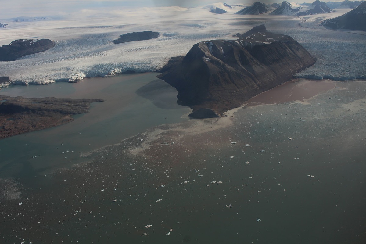 Wie der Klimawandel Unterwasserwälder in der Arktis verändert