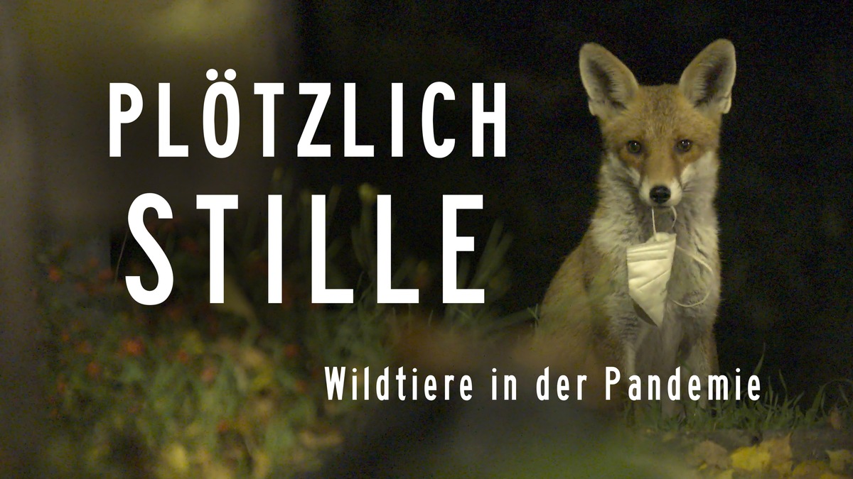 MDR-Koproduktion „Plötzlich Stille – Wildtiere in der Pandemie“ im Ersten