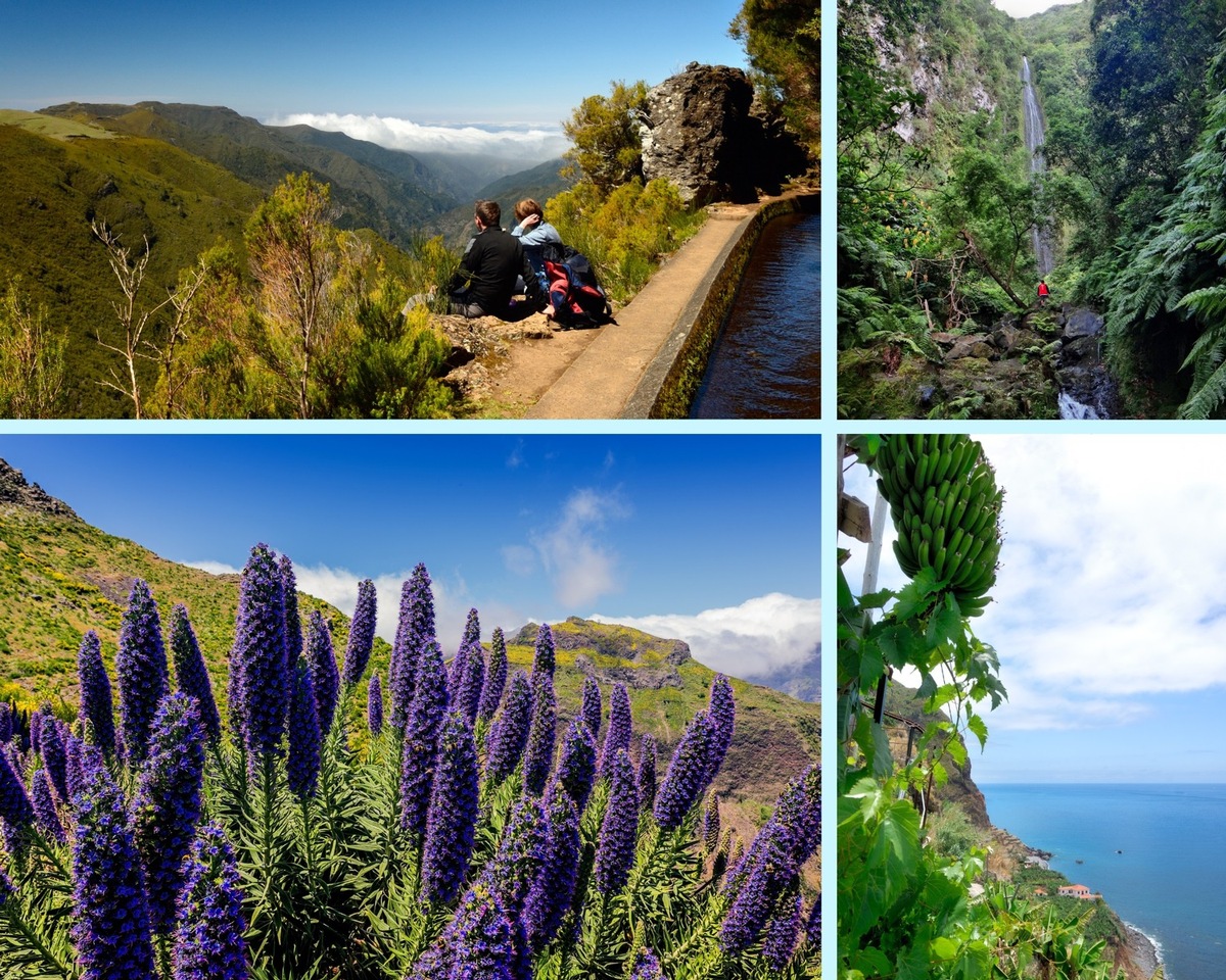 Madeira in Zahlen - 150 Tunnel, 30 Wanderwege, 3.100 Kilometer Levadas und 1.204 verschiedene Pflanzenarten