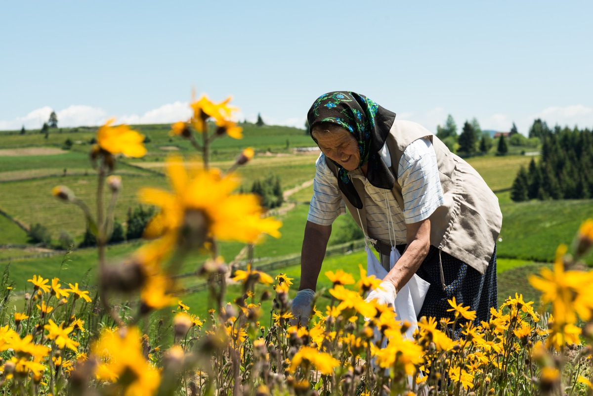 #Weleda: Eine Pionierin wird 100