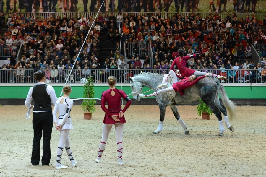 Erfolgreiche Bilanz: HIPPOLOGICA 2012 überzeugt mit gewachsenem Sportteil und Besucherplus (BILD)