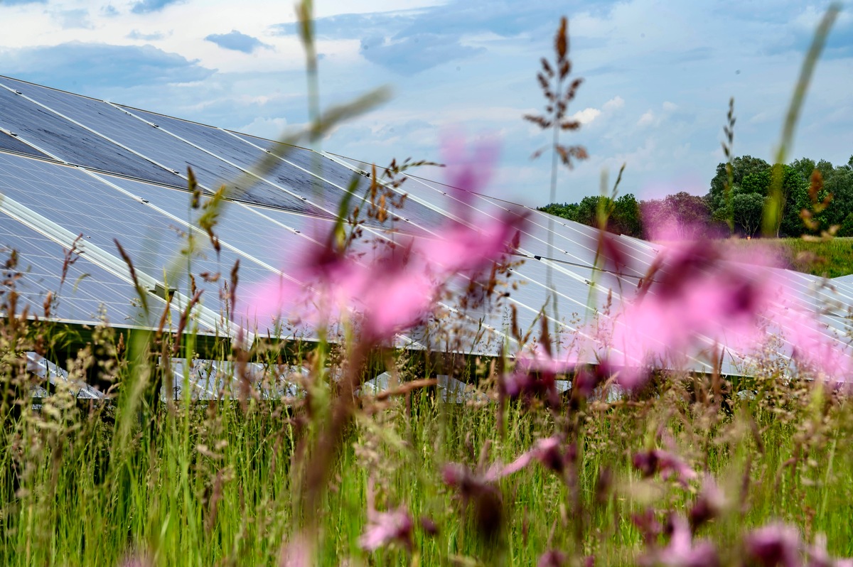 Photovoltaik-Strategie nachbessern: alle Hebel auf schnellen Gigawattzubau umlegen