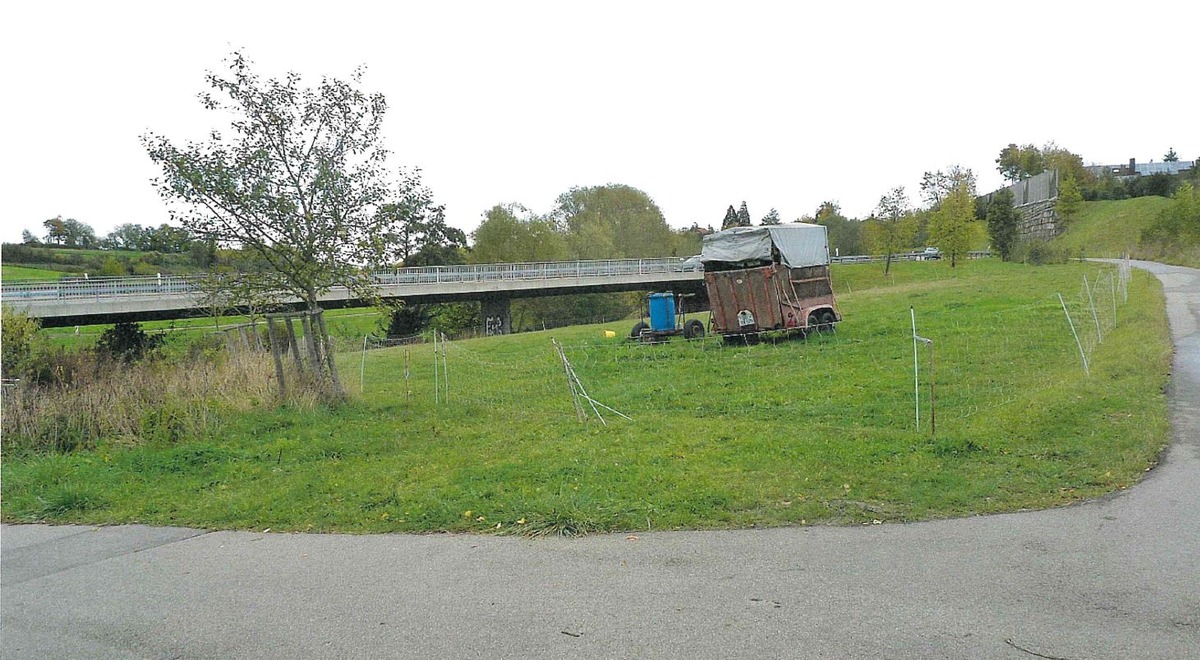 POL-LB: Leonberg-Eltingen: Schaf auf Weide geschächtet