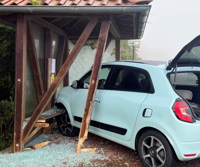 POL-LG: ++ Einbrüche in Bardowick - Gebäude und Fahrzeuge betroffen ++ Fahrraddieb im Ilmenaugarten gefasst ++ Altreifen weggeworfen ++ Fritteuse in Brand ++ Mit Wartehäuschen kollidiert (Bild) ++