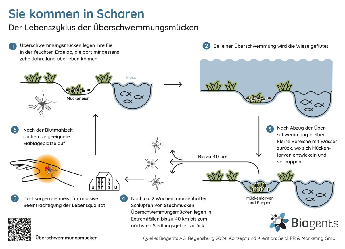 Nachhaltige Hilfe für Biergärten und Co. / Die Mücken kommen, die Gäste gehen