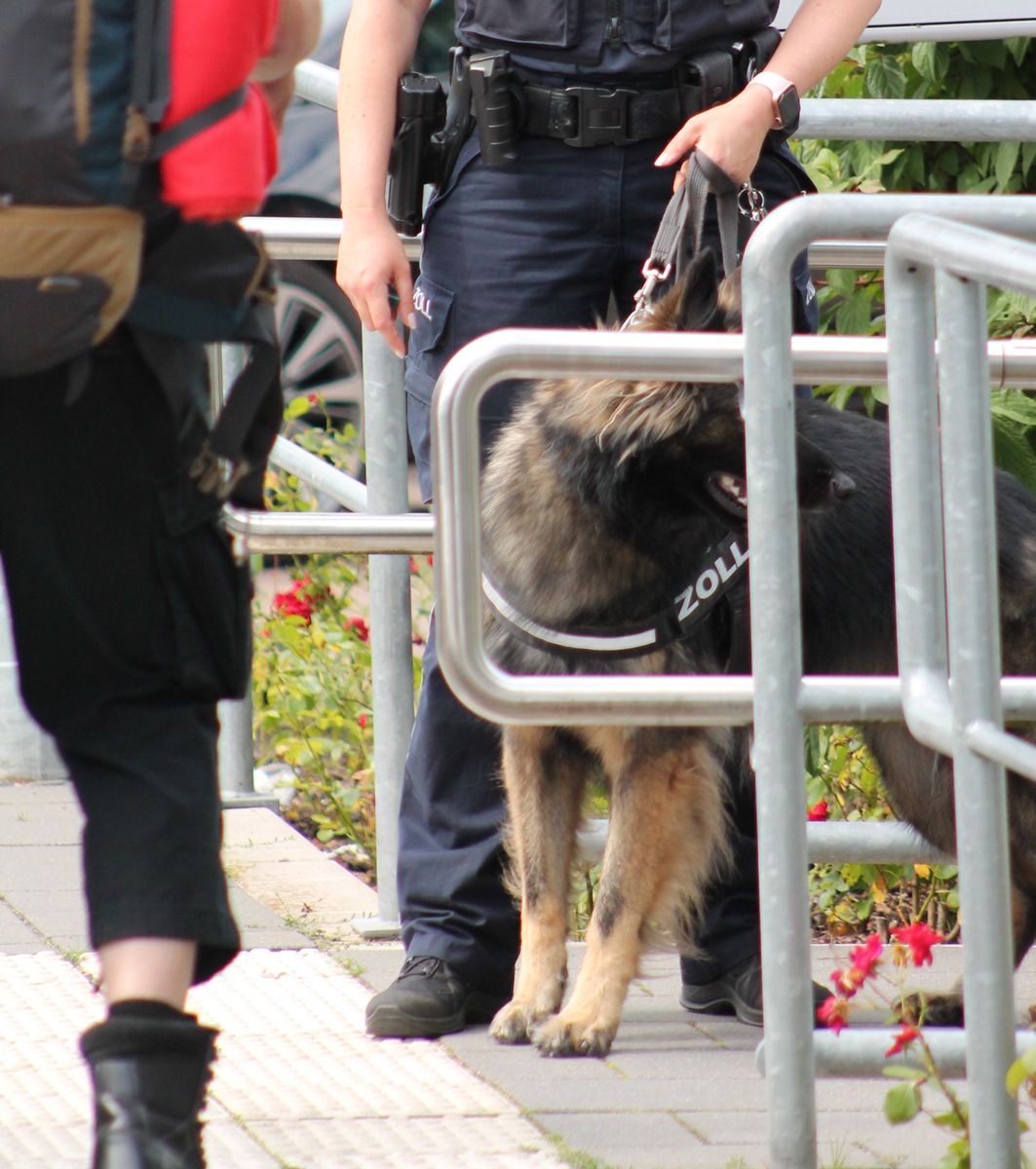 HZA-HB: Zoll stellt Drogen beim Shining-Festival sicher / An Zollhund &quot;Nanny&quot; kam keiner vorbei