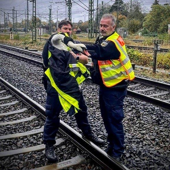 BPOL-KI: Bundespolizei - Schwan aus Gleisbereich gerettet