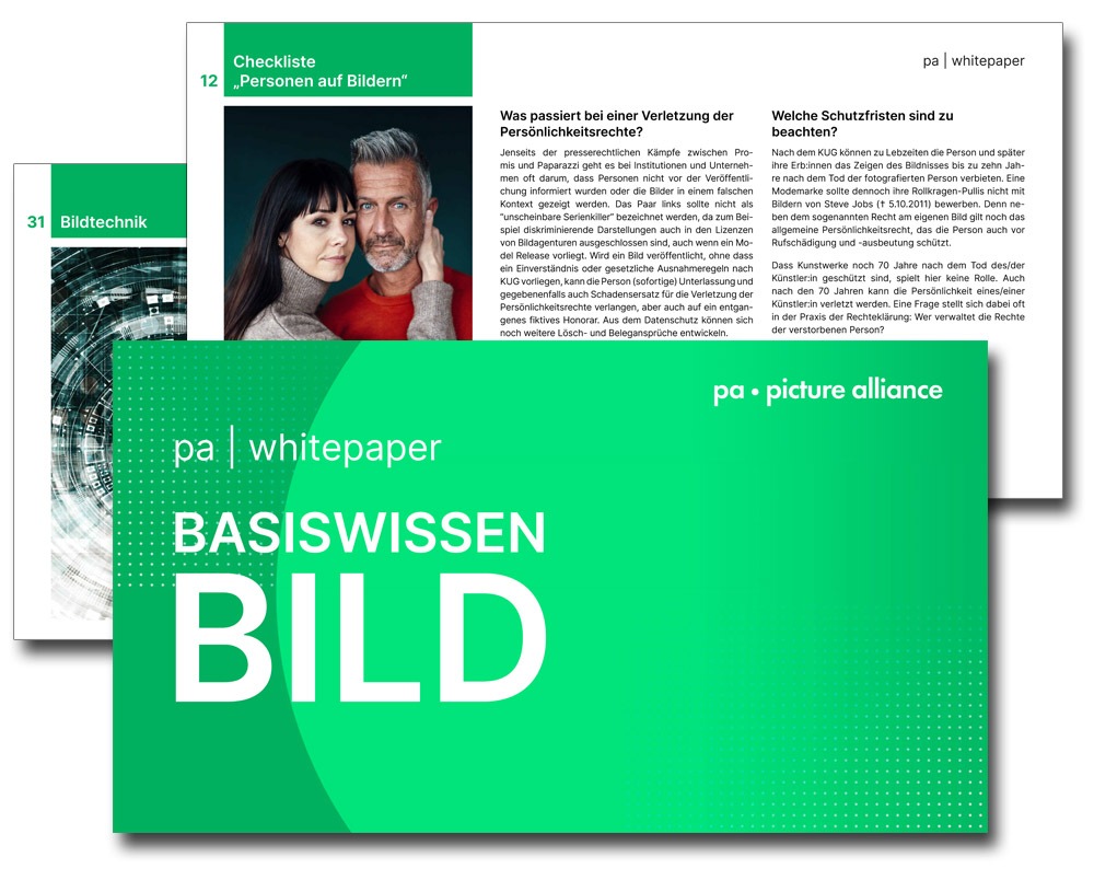 picture alliance veröffentlicht Whitepaper Basiswissen Bild