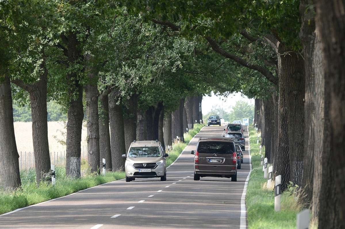 Die Allee verzeiht keine Fahrfehler / Jeder vierte Todesfall auf Landstraßen nach Baumkollision