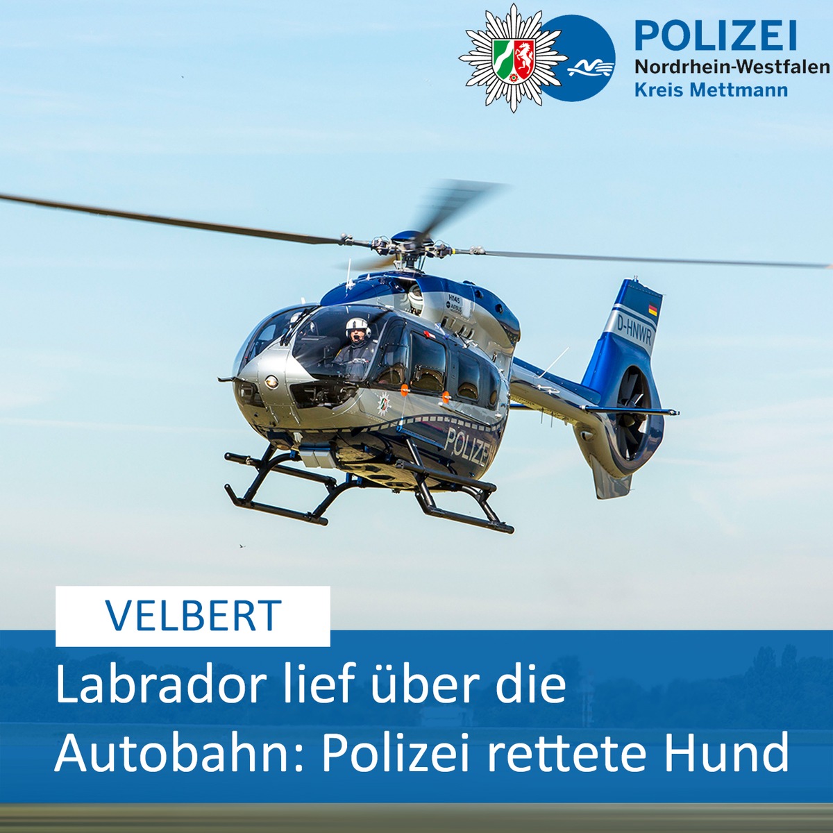 POL-ME: Autobahn gesperrt und Polizeihubschrauber im Einsatz: Entlaufener Labrador löste Großeinsatz aus - Polizei rettete Hund - Velbert - 2405058