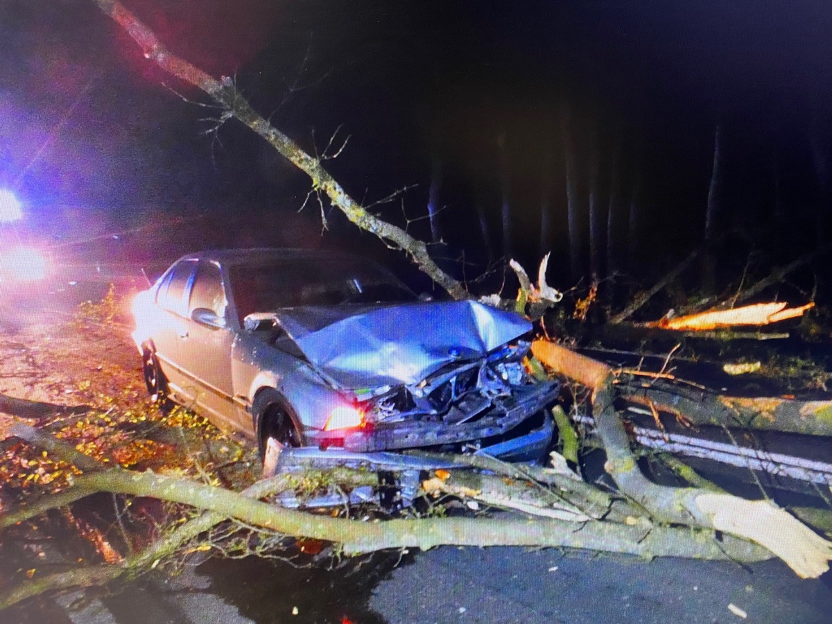 POL-NB: Baum fällt auf BMW