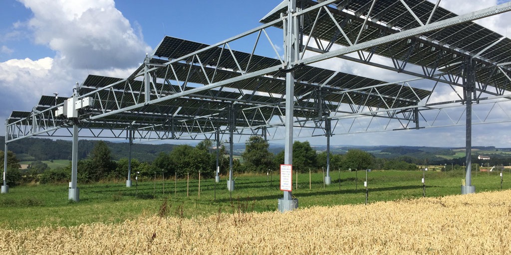 Kann 3 AKWs ersetzen: Grüner Strom vom Acker hat Potenzial, aber seinen Preis