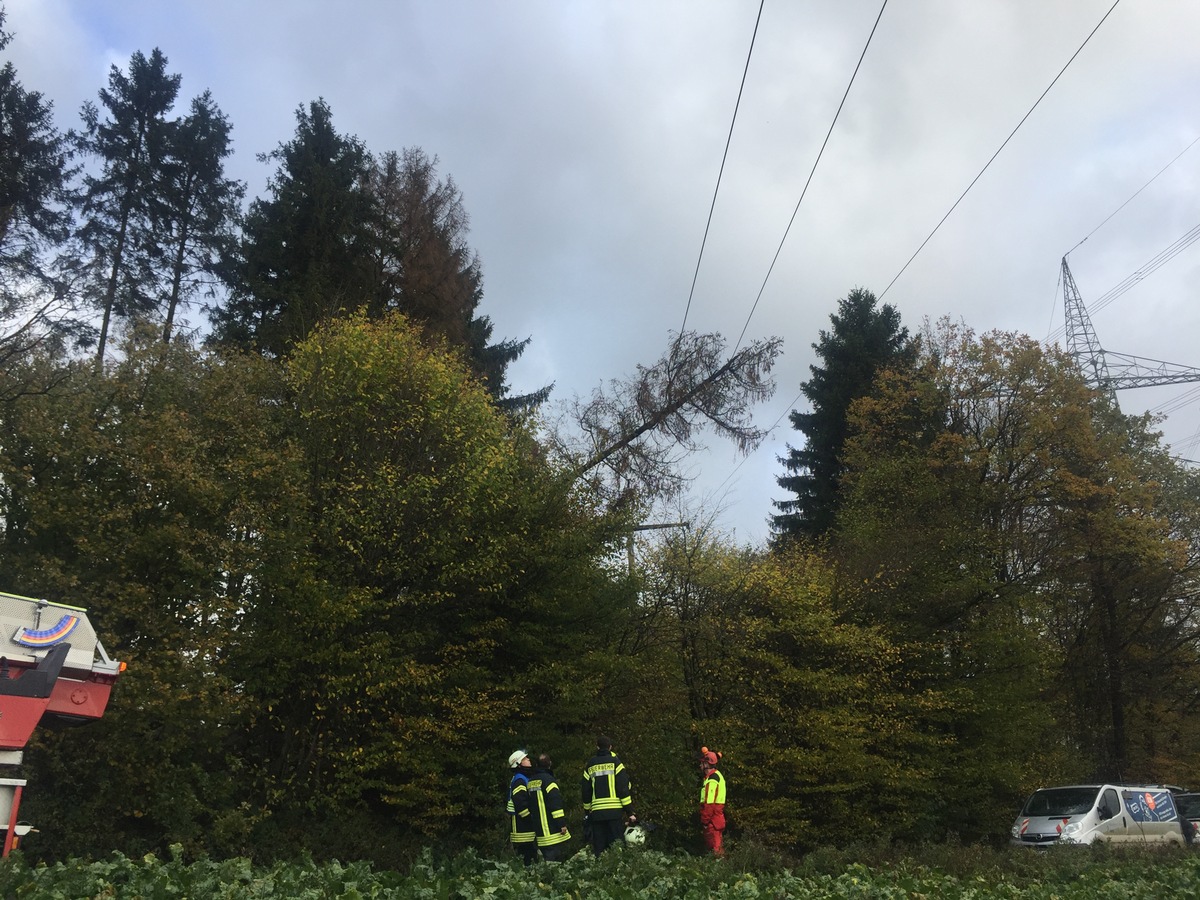 FW Lügde: Technische Hilfe / Baum in 30 KV Leitung