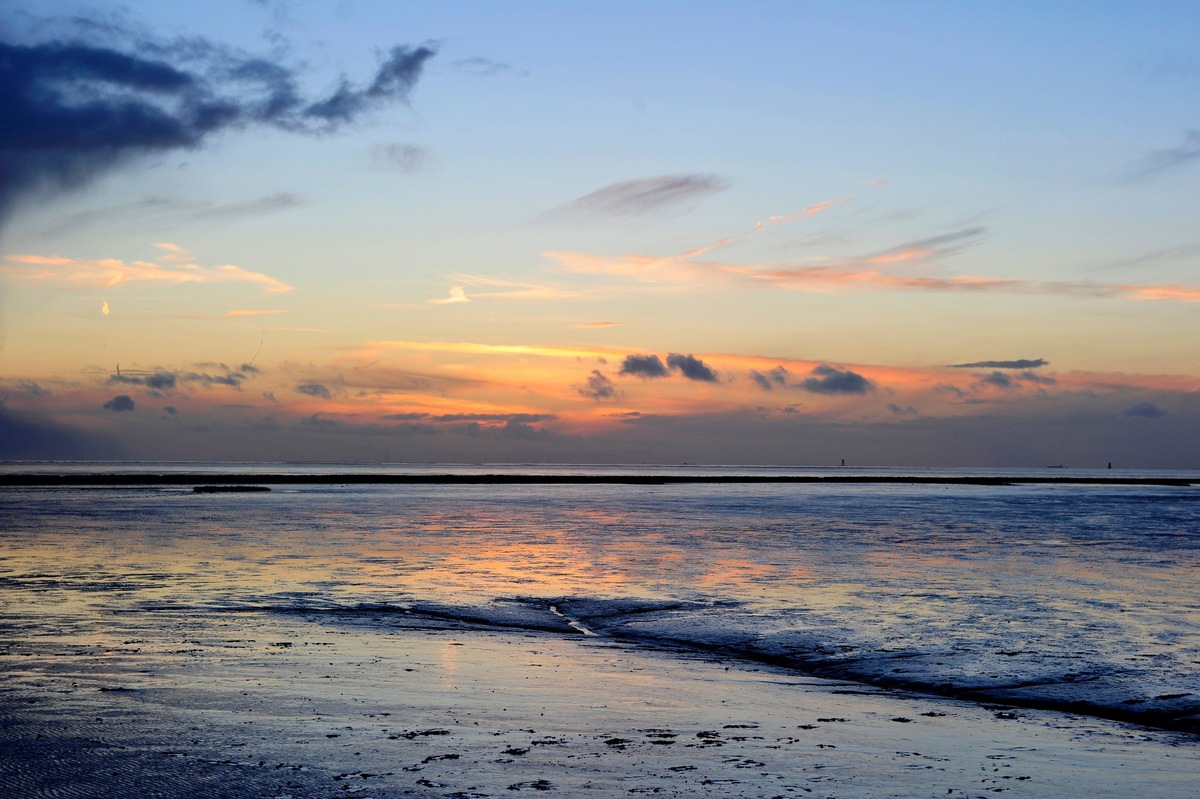 Digitaler und fokussierter: Die „Die Nordsee GmbH“ richtet sich neu aus