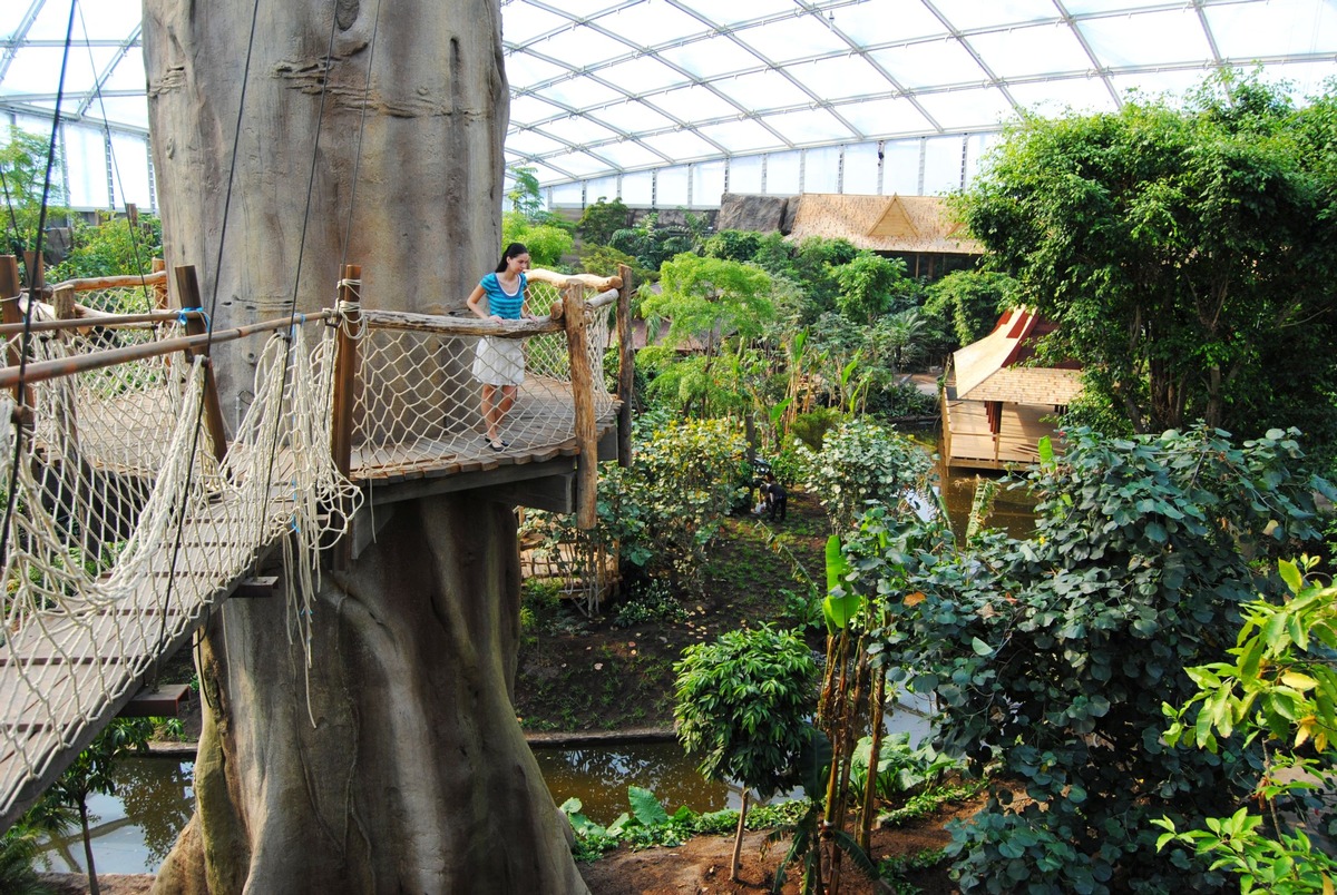 Gondwanaland: Ein tropisches Paradies in Leipzig (mit Bild)