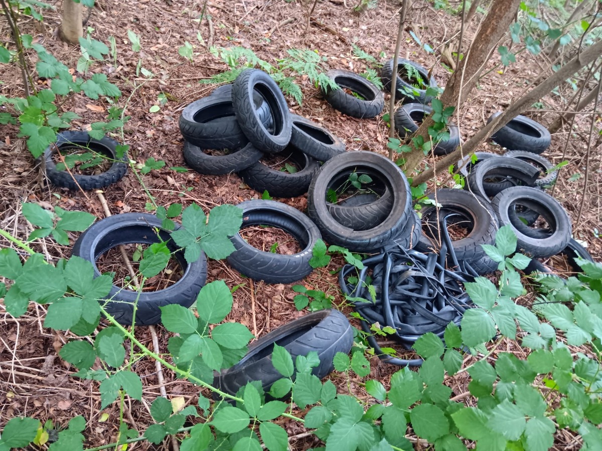 POL-EL: Meppen - Reifen entsorgt (Foto)