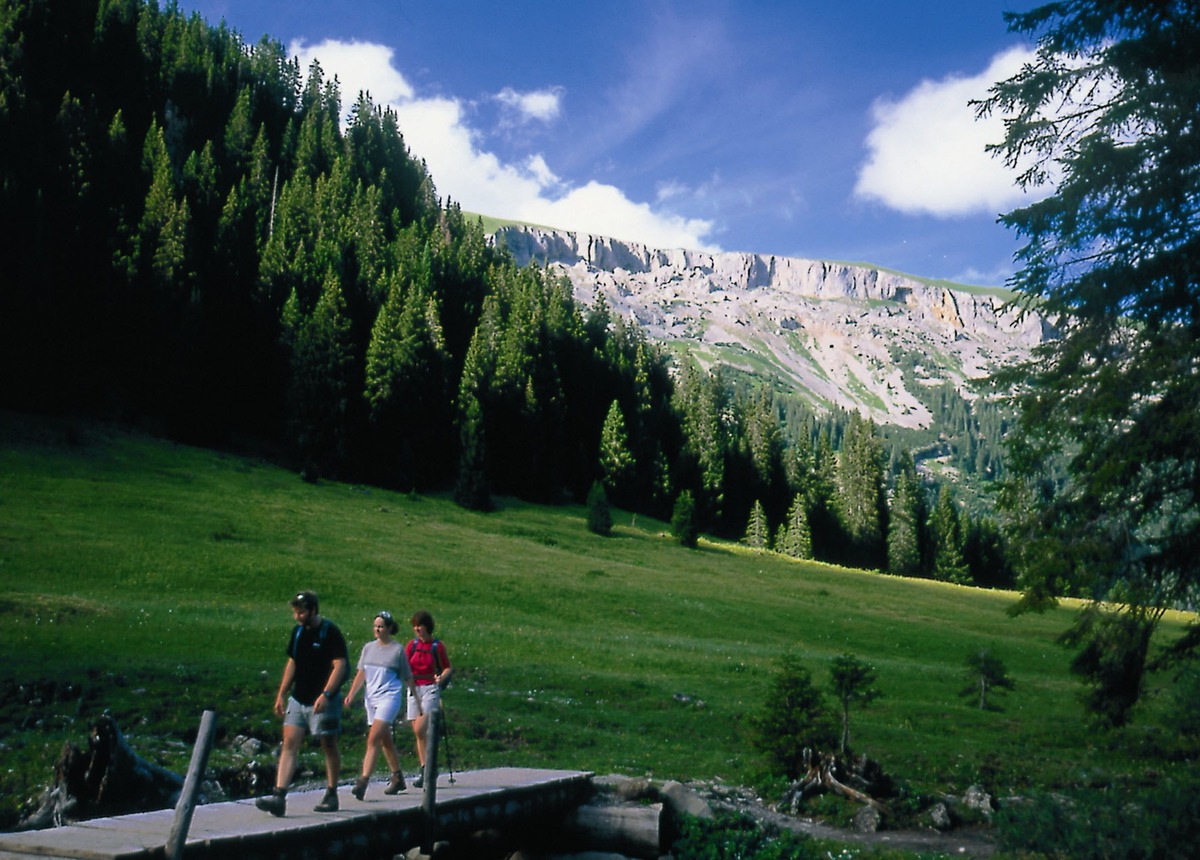 Auf Schusters Rappen durch das Kleinwalsertal