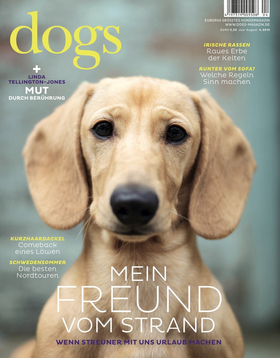 DOGS AWARD 2016: Helden auf zwei und vier Beinen gesucht