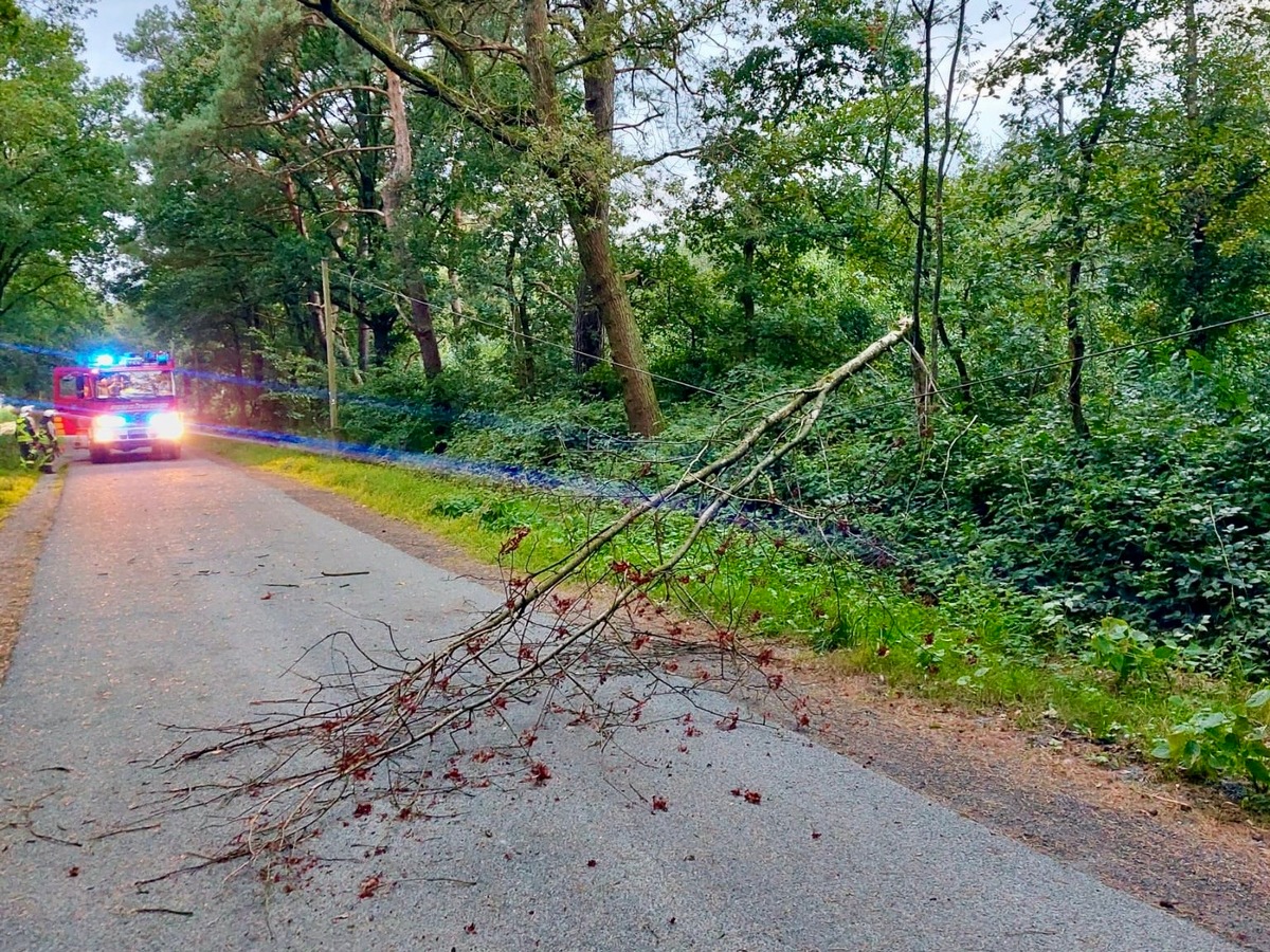 FW Hünxe: Baum auf Telefonleitung