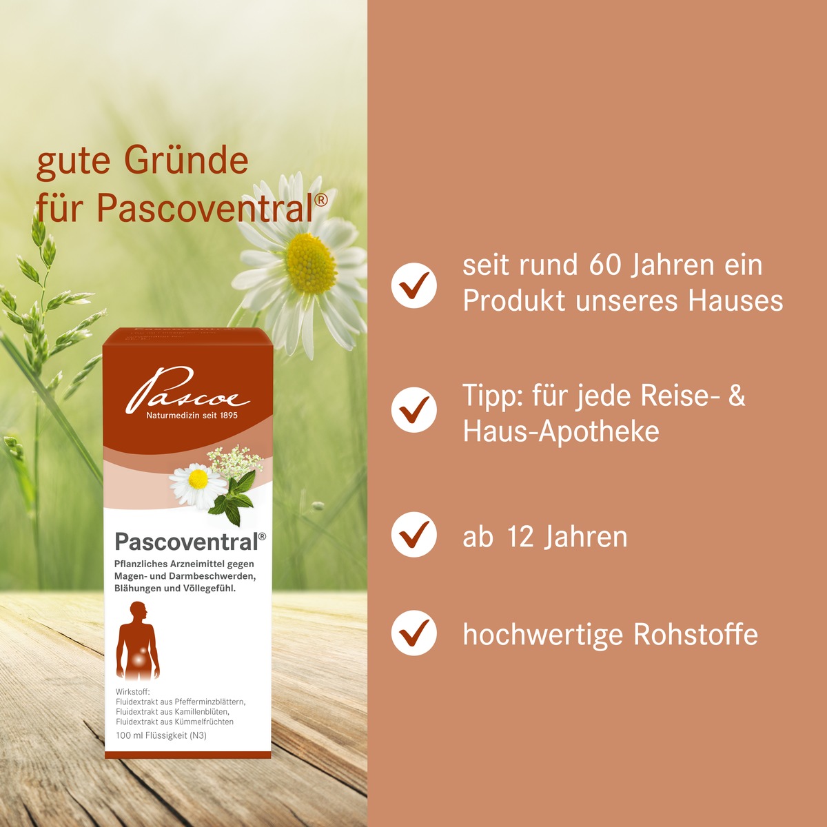 Pascoventral® - ohne Schöllkraut für ein gutes Bauchgefühl