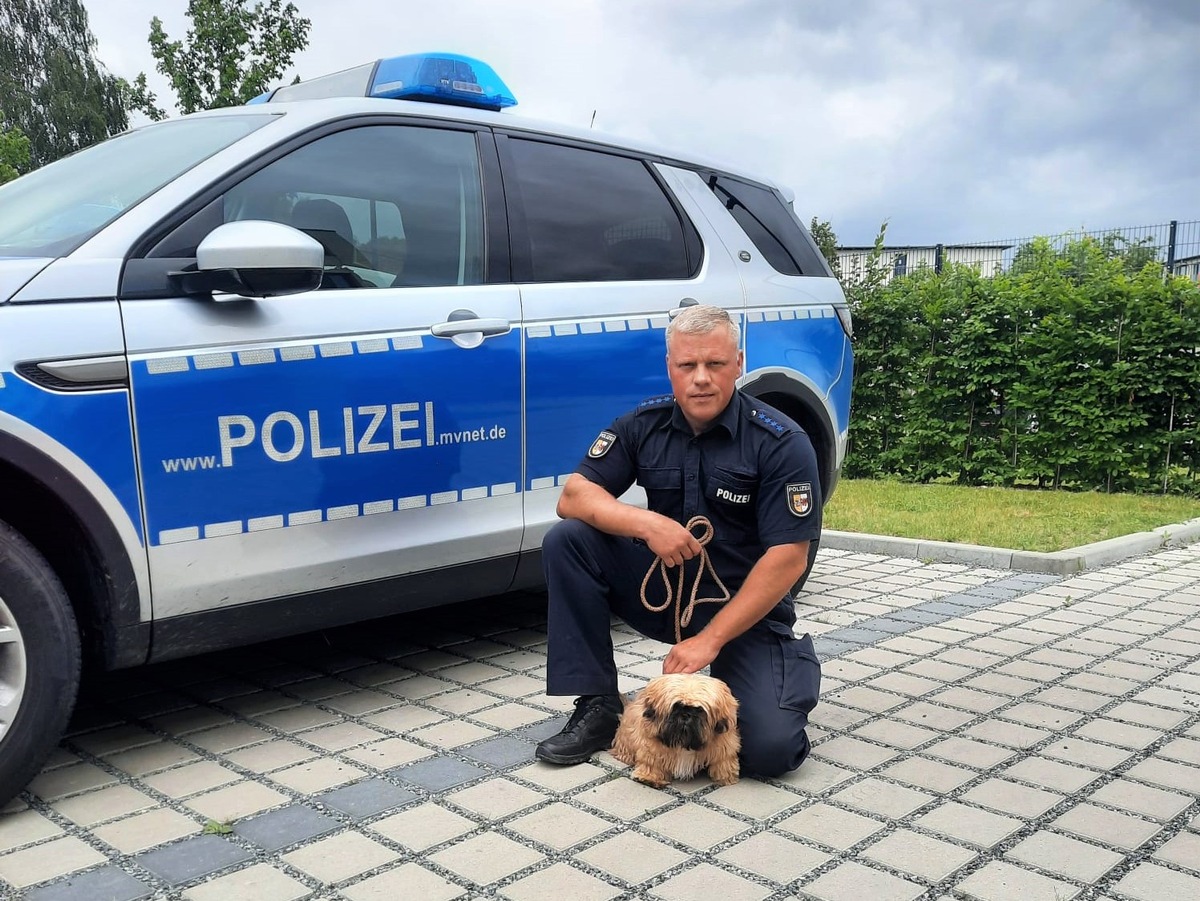 POL-ANK: Ein Herz für Mensch und Tier - Polizist gibt nicht auf und findet gestohlenen Hund wieder