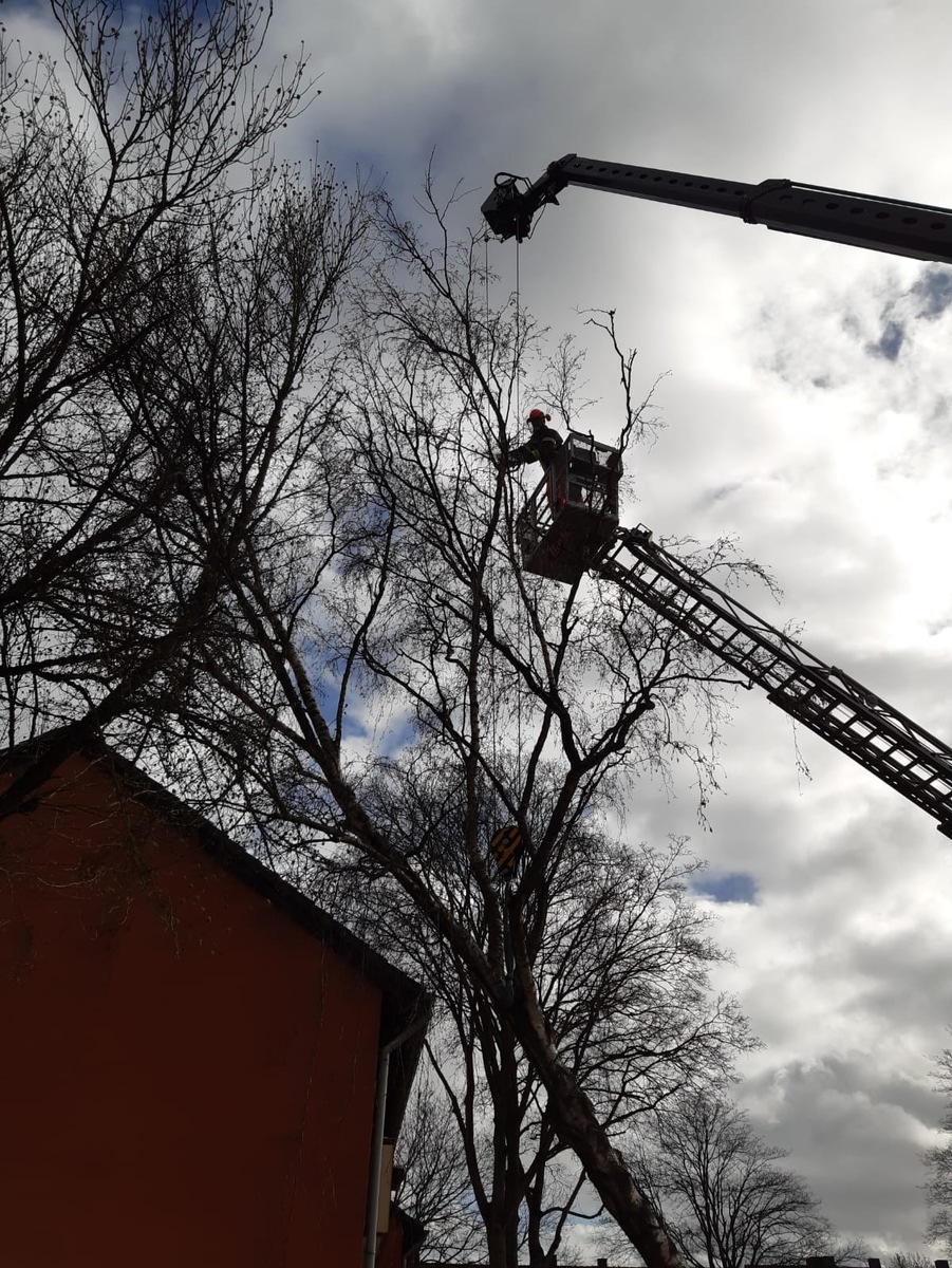 FW-MH: Sturmtief &quot;Klaus&quot; - Zwischenbilanz der Feuerwehr Mülheim