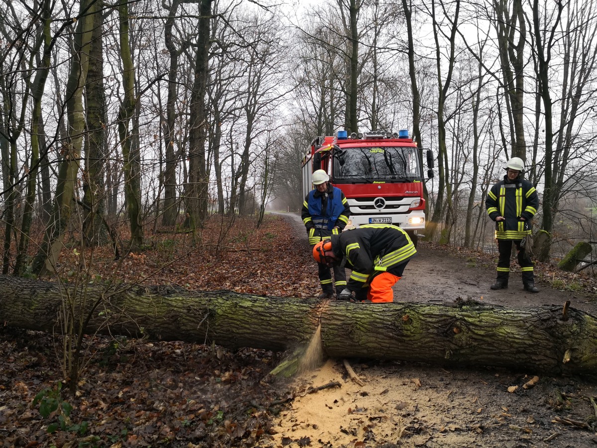 FW-WRN: TH_1 - LZ1 - Waldweg zum Bahndamm - Baum auf Gehweg