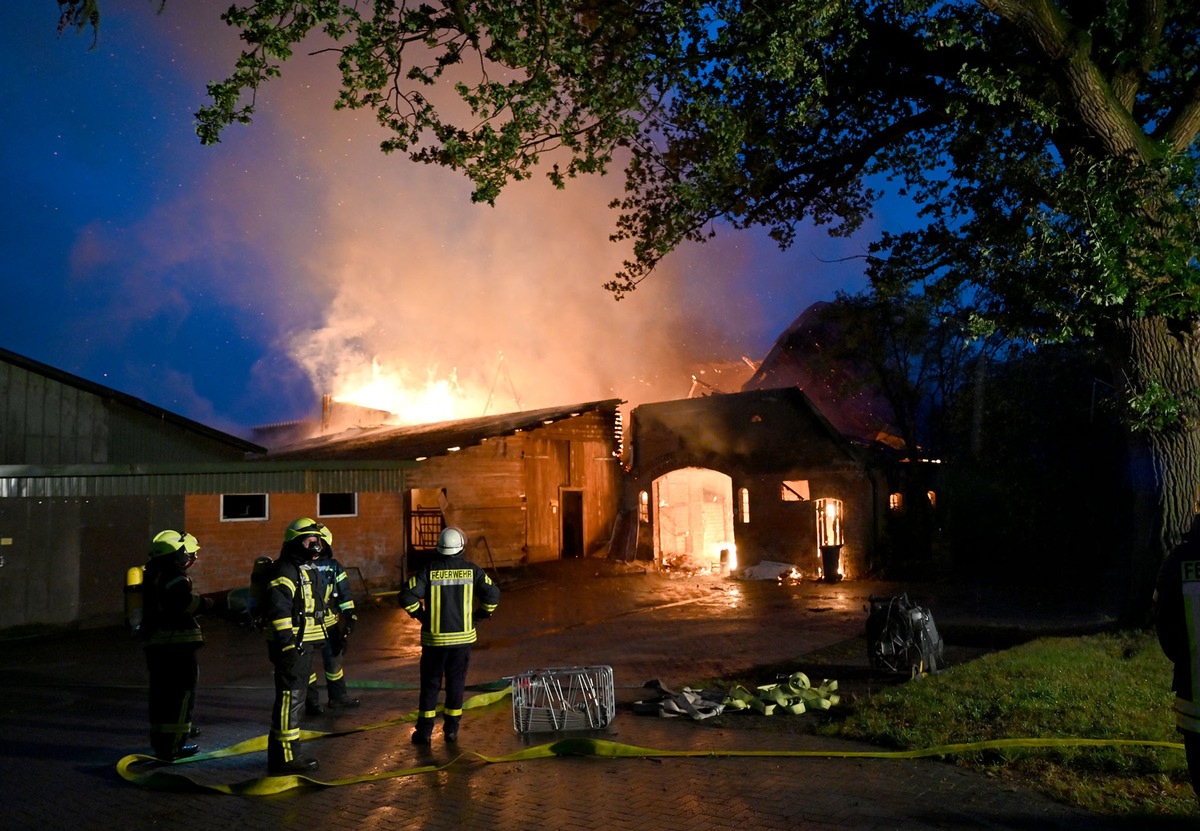 FW-RD: Stall in Flammen - 20 Kälber sterben