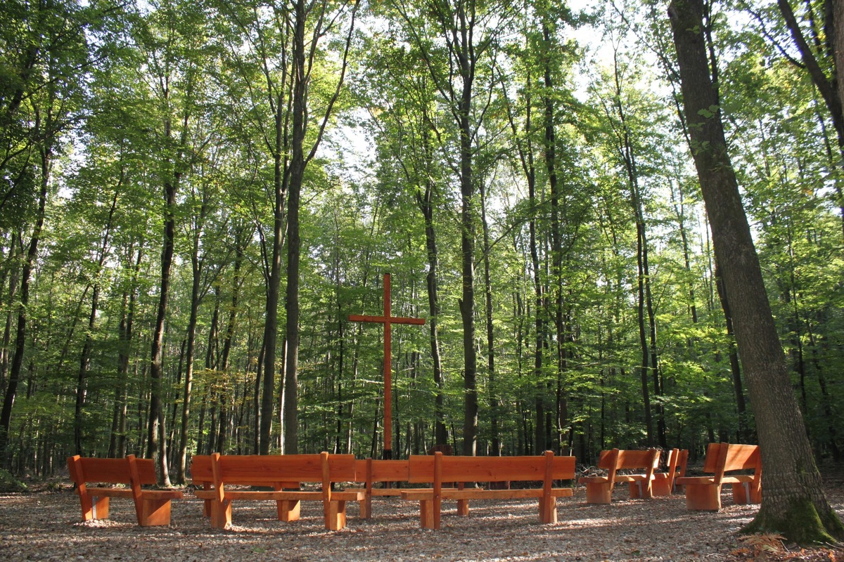 FriedWald Meroder Wald eröffnet