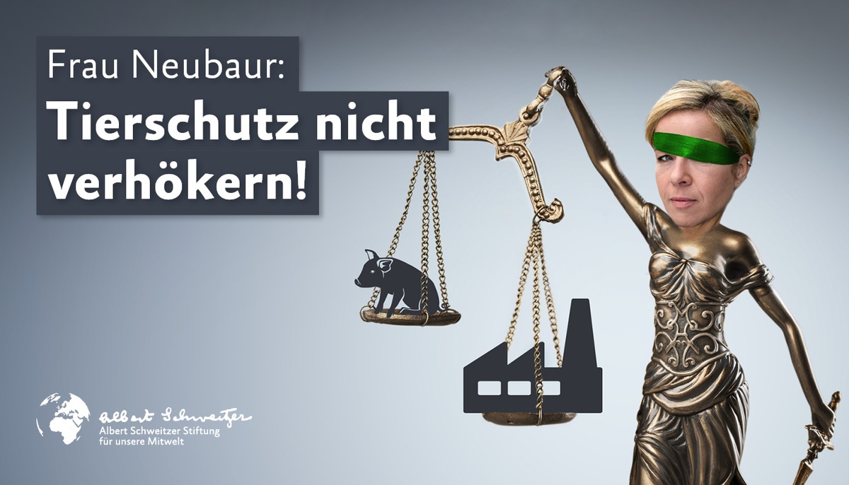 Tierschutzverbände warnen Grüne in NRW: Tierschutz nicht verhökern