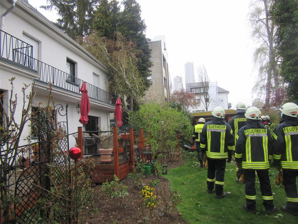 POL-PDTR: Sturmschaden durch umgestürzten Baum