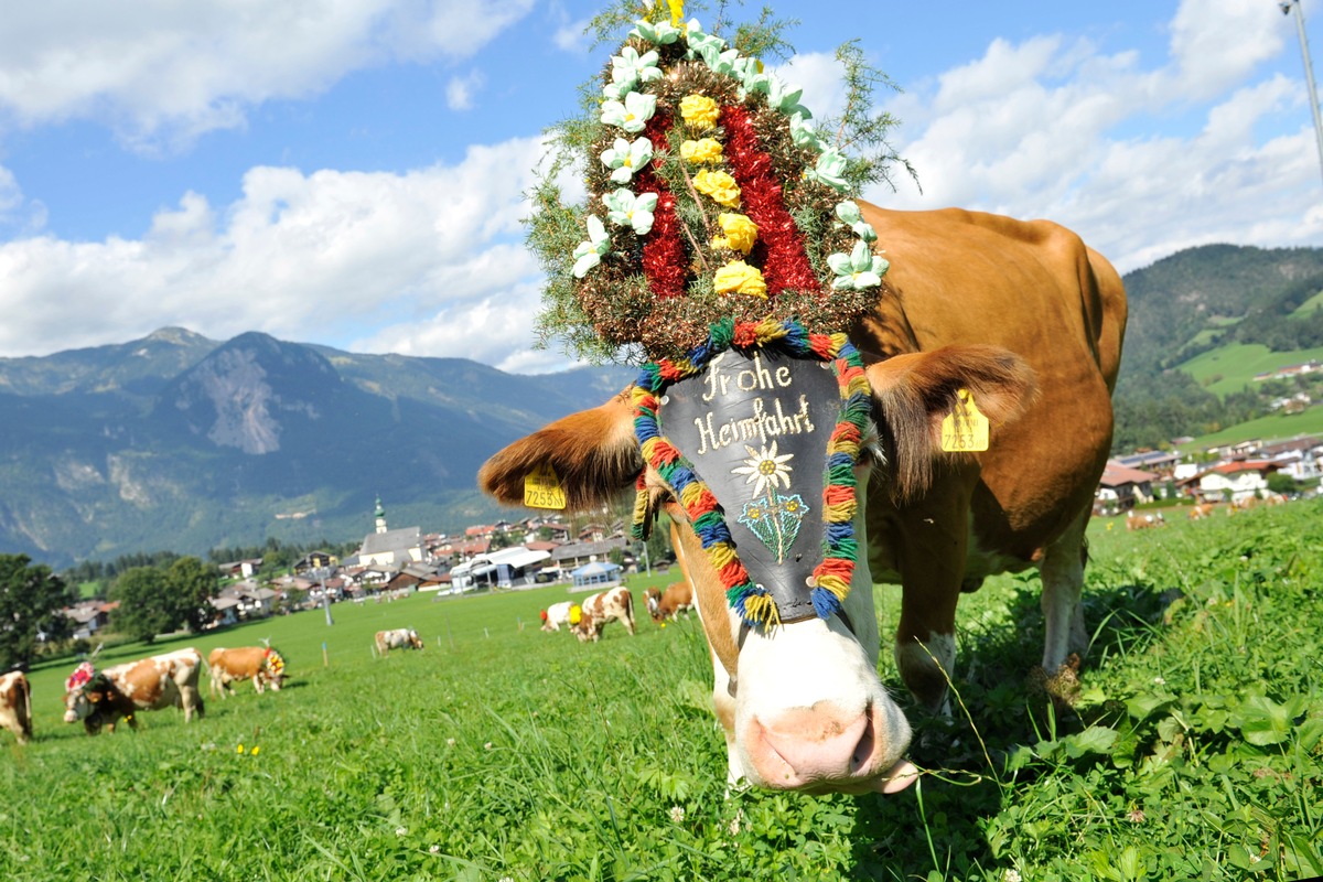 Buntes Festtreiben beim Reither Almabtrieb - BILD