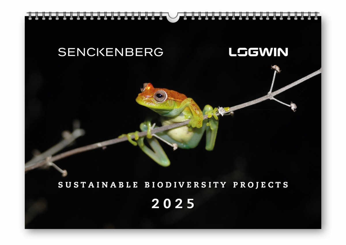 Logwin AG und Senckenberg Gesellschaft für Naturforschung präsentieren erstmalig gemeinsamen Biodiversitäts-Kalender 2025