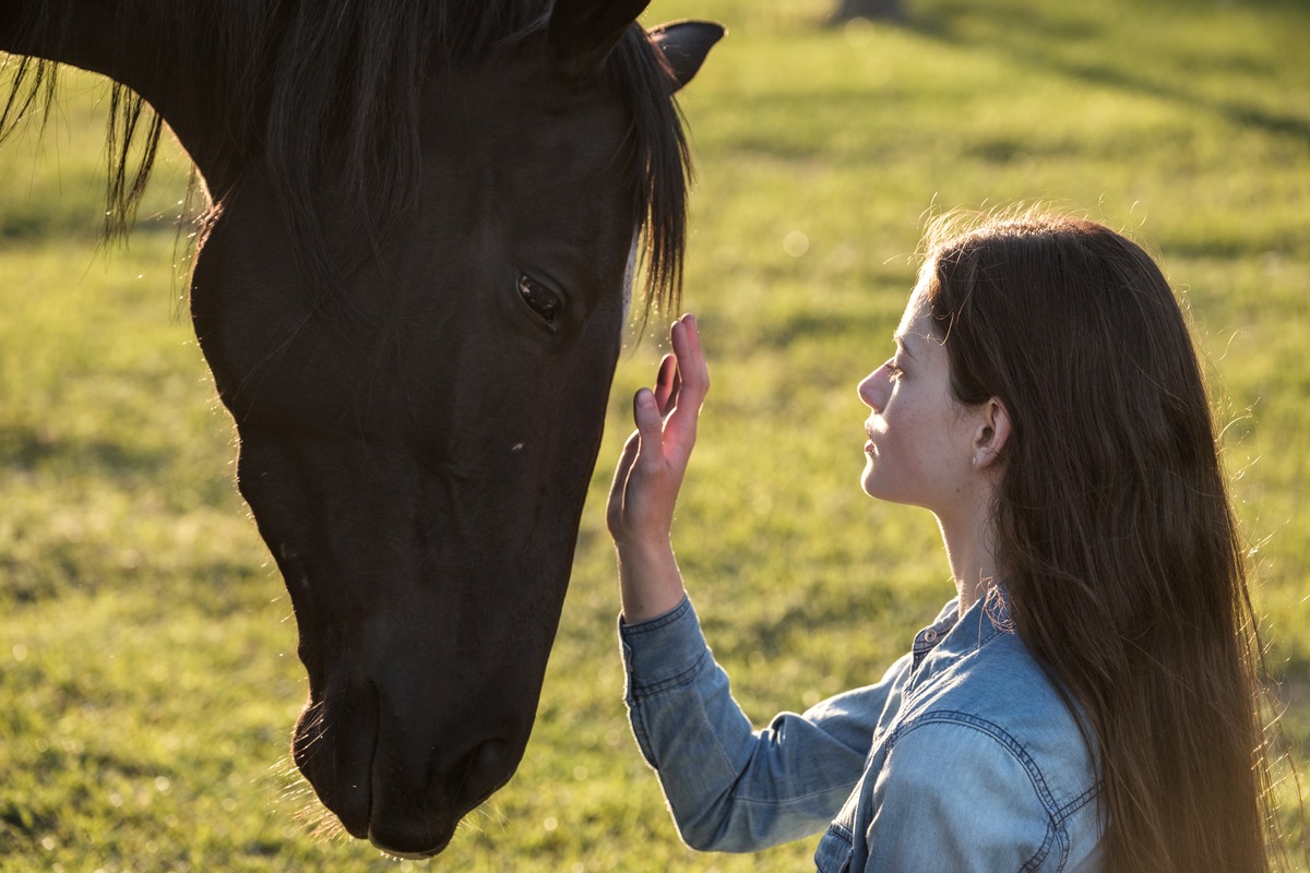 Constantin Film- und JB Pictures-Produktion BLACK BEAUTY exklusiv bei Disney+