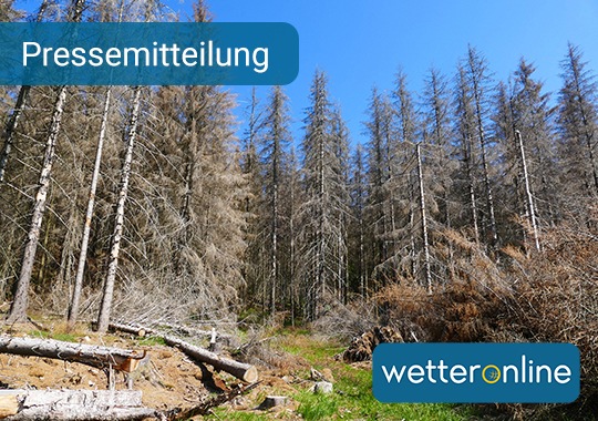 Darum ist der April so trocken und sonnig - Besondere Wetterlage hält sich zäh