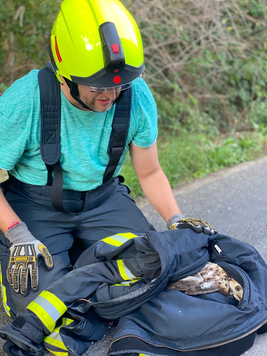 Feuerwehr Weeze: Tierrettung - Greifvogel in Not