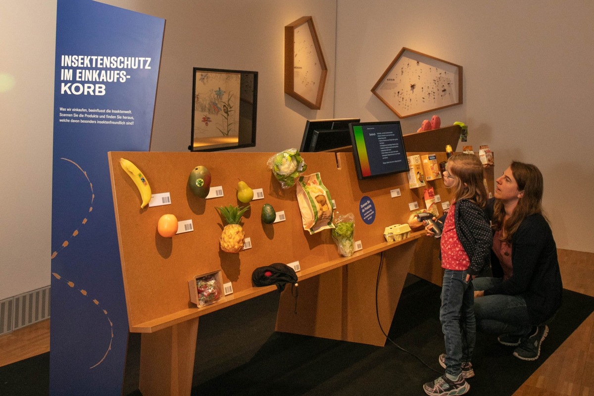 Naturama verlängert «RESPEKT, INSEKT!»