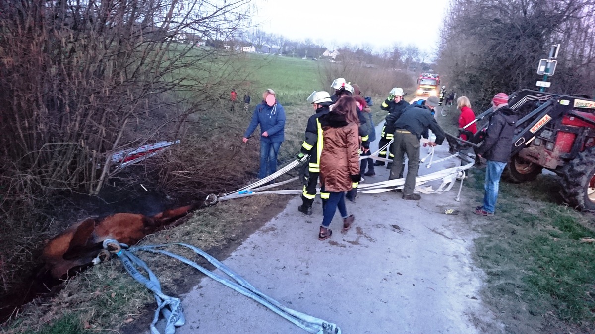 FW-DO: 08.02.2018 - Tierrettung in Grevel
Pferd aus Graben befreit