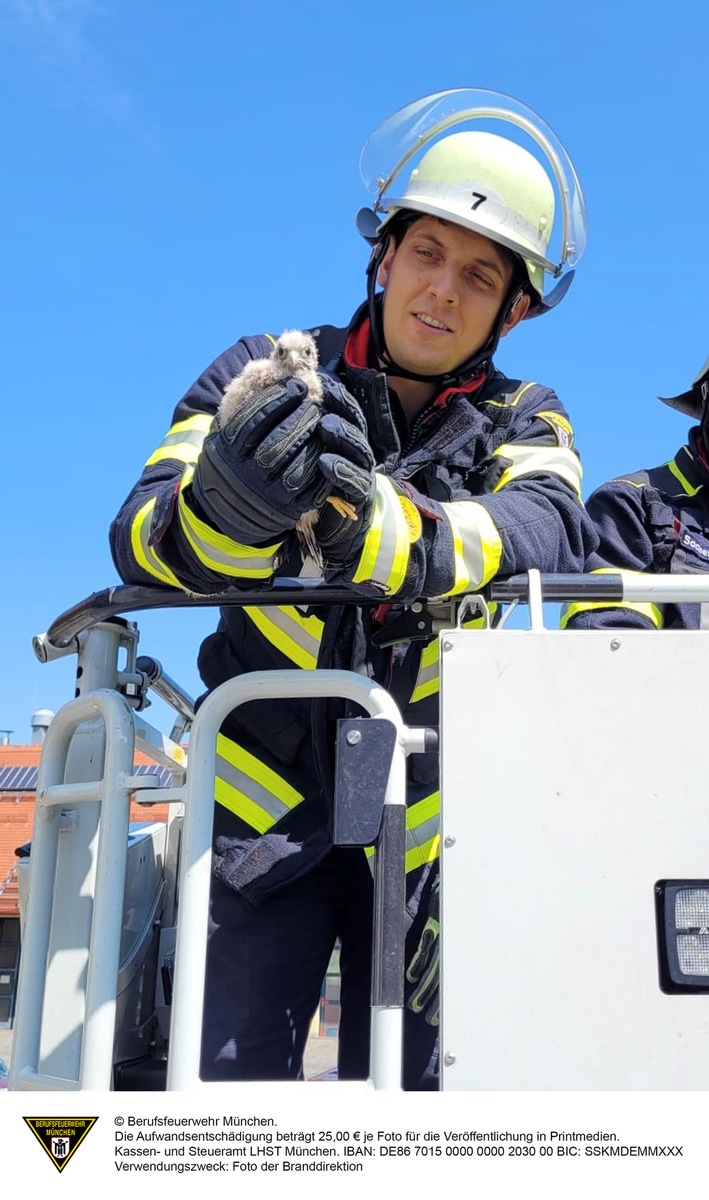 FW-M: Turmfalkenrettung auf der Feuerwache (Milbertshofen)