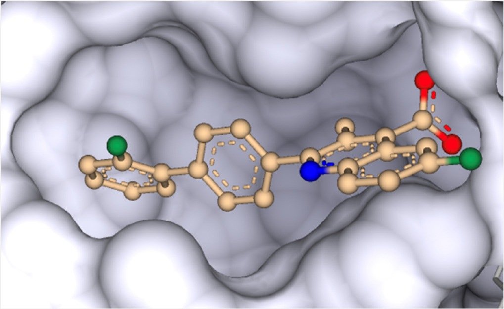 Potentiating Cancer Vulnerability to Ferroptosis: Off-Targeting Effects of DHODH Inhibitors