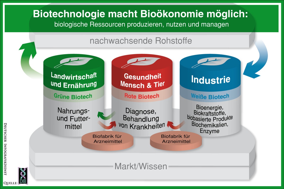 Bioökonomie bietet große Chancen für Deutschland / DIB: Alle Erfolgsfaktoren der Biotechnologie verknüpfen (mit Bild)