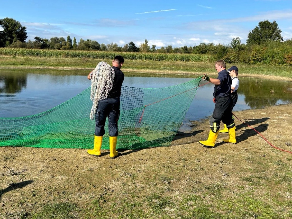 FW Mainz: Feuerwehr rettet verletzten Schwan